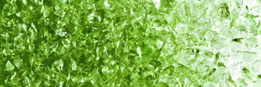 꾸미기_LF3526296MossGreenTransMed.jpg
