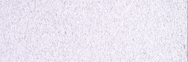 꾸미기_F114296LightPurpleTransPowderL.jpg